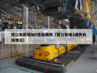 营口有新增加6感染病例（营口新增2病例具体情况）