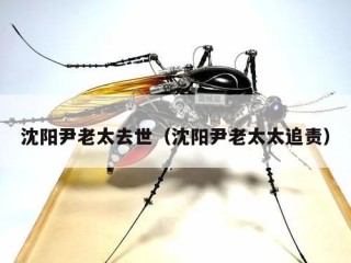 沈阳尹老太去世（沈阳尹老太太追责）