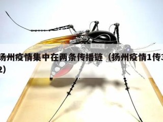 扬州疫情集中在两条传播链（扬州疫情1传32）
